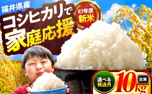 【9月発送】小浜市産コシヒカリ 精米 10kg 若狭の自然が育てたごはん 国産米 福井県 / 白米 新米 地域密着 米問屋 小浜市 / 梅田東米穀店 [BFEK010]