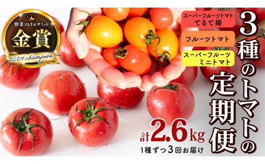 【 3回定期便 】 厳選 フルーツトマト 3品種セット（ 毎月1種ずつお届け ） てるて姫 ミニトマト 2026年収穫分 先行予約 フルーツトマト ブランドトマト 野菜 [BC091sa]	
