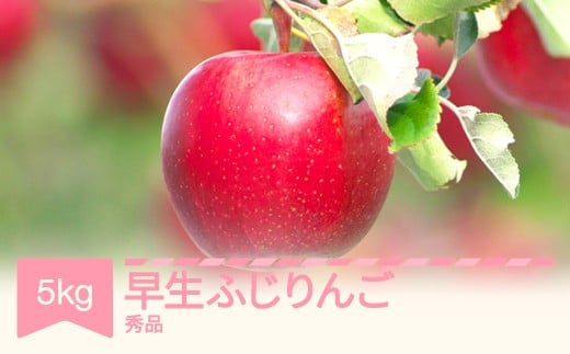 【先行予約】 早生ふじりんご 秀品 5kg りんご 令和 8年産 2026年産 果物 ※沖縄・離島への配送不可 sb-riwfx5