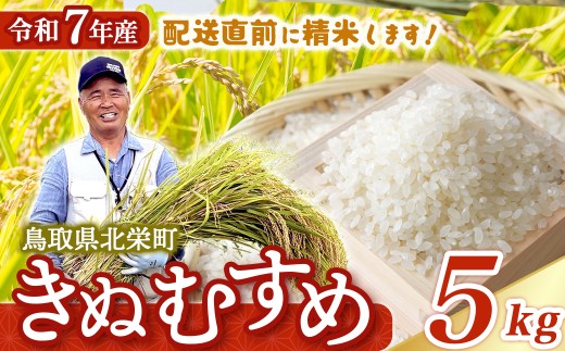 【新米】【在庫限定】令和7年産米 きぬむすめ 5kg （大上農園）数量限定 新米 お米 米 こめ コメ 白米 きぬむすめ ブランド米 鳥取県 倉吉市