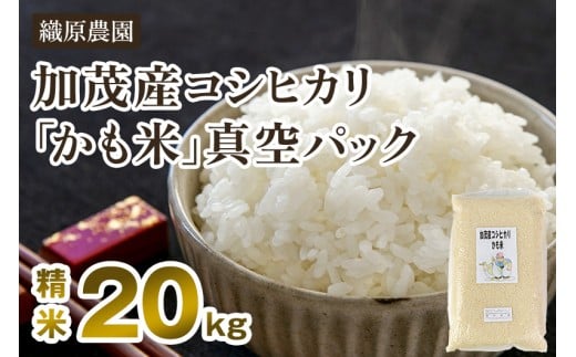 【令和7年産新米】【無農薬・無化学肥料】新潟産コシヒカリ「かも米」精米20kg（5kg×4袋）《順次出荷》 白米真空パック 従来品種コシヒカリ 加茂市 織原農園