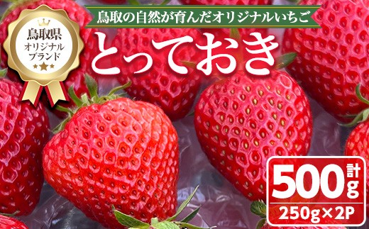 ＜数量限定！期間限定！＞＜2026年1月中旬～3月下旬発送予定＞鳥取県オリジナルブランドのいちご「とっておき」(計500g・250g×2P) 【sm-ED001】【空のいちご】