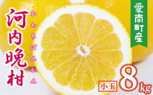 数量限定 先行予約 河内晩柑 樹齢 25年以上 小玉 8kg ( Mサイズ ) 9000円 みかん mikan 蜜柑 ミカン かわちばんかん 愛南ゴールド あいなん ゴールド 文旦 派生 和製 グレープフルーツ 産地直送 国産 農家直送 期間限定 特産品 ゼリー ジュース アイス 等に 人気 限定 甘い さわやか フルーツ 果物 柑橘 蜜柑 みかんの山祥 愛南町 愛媛県