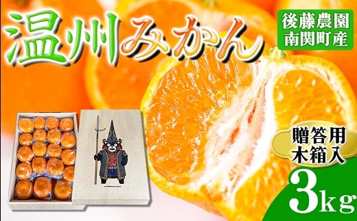 【桐箱入り】後藤農園 くまモン木箱入り 温州みかん 3kg 贈答用 南関町産 フルーツ 果物 くだもの 柑橘 国産