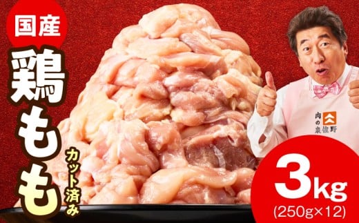 【カット済み】国産 鶏肉もも 3kg【氷温熟成×極味付け 小分け 250g×12P とり もも 簡単調理 唐揚げ 親子丼 家計応援】