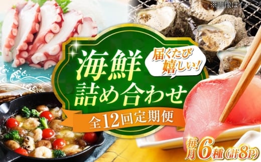 【全12回定期便】新鮮なお魚盛りだくさん！海鮮詰合せ「梅」 料理 和食 簡単 レシピ 魚介類 海産物 海鮮 刺身 ギフト お取り寄せ 江田島市/七宝丸 [XBY016]