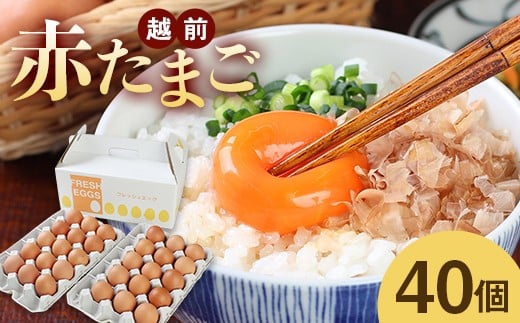 ミネラルを豊富に含んだ越前赤玉子40個(36個+卵割れ補償4個)2023年2月28日テレビ朝日 羽鳥慎一【モーニングショー】 <知っておきたいNEWS検定> 「ふるさと納税で異変・高騰の卵人気」コーナーにて 本返礼品が取り上げられました!