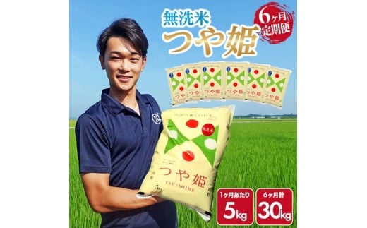 【6回定期便】［無洗米］特別栽培米 つや姫　5kg×6回(計30kg) 農家直送 AG SN0021
