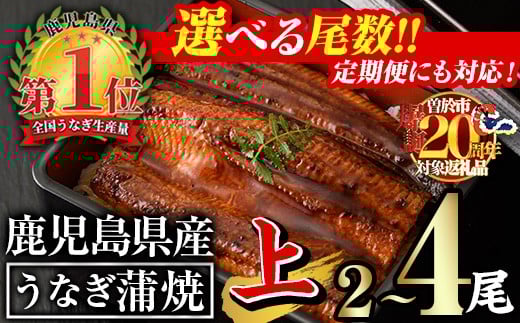 <尾数・配送回数が選べる!>無投薬!鹿児島県産うなぎ蒲焼セット<上>(計280g以上〜計700g以上・140g以上×2尾〜5尾 / 定期便 全3回 計840g以上・140g以上×2尾×3回) タレ・山椒付き 鰻 ウナギ 国産【西日本養鰻】