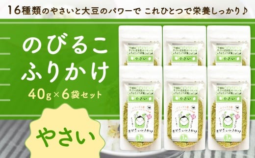 のびるこふりかけ やさい 40g×6袋 計240g ふりかけ こども用ふりかけ やさいふりかけ 野菜ふりかけ こども用 健康 栄養 常温 福岡県 北九州市