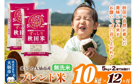 新米 米 令和7年産《定期便12ヶ月》米どころ 秋田県大仙市産 ブレンド米【無洗米】10kg（5kg×2袋） 2409918 - 秋田県大仙市