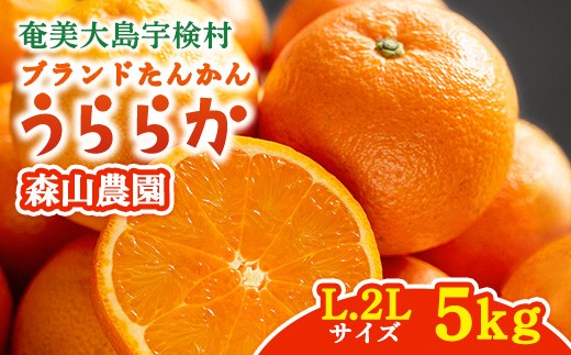 【2026年2月～3月出荷開始】 ブランドたんかん うららか (5kg) L 2Lサイズ 奄美大島 宇検村 数量限定 期間限定 タンカン 果物 フルーツ 柑橘 鹿児島 森山農園