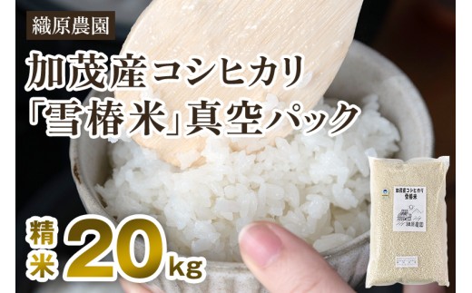 【令和7年産新米】新潟産コシヒカリ「雪椿米」特別栽培米 精米20kg（5kg×4袋）《順次出荷》白米真空パック 従来品種コシヒカリ 加茂市 織原農園