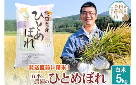 【白米】ひとめぼれ 5kg 令和7年産 秋田県産 五平農園のひとめぼれ お米 米 こめ 五平農園