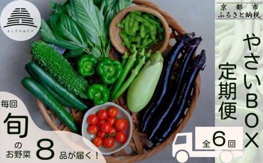 ＜定期便6回＞【よしだのはたけ】旬の野菜8品 やさいBOX｜京都 京北 農家直送 野菜 人気セット [ 旬のお野菜 新鮮 おまかせセット 美味しい 産地直送 野菜詰め合わせ 野菜セット 野菜定期便 人気 おすすめ ギフト プレゼント お取り寄せ 通販 送料無料 ふるさと納税 ]