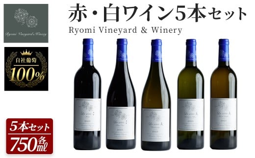 自社葡萄を使用したワインセット 750ml×5本 赤ワイン 白ワイン メルロー ピノノワール シャルドネ ソーヴィニヨンブラン モンドブリエ ミディアムボディ 辛口 ぶどう ブドウ アルコール みらいファームやまと 【了美ワイナリー】ta594