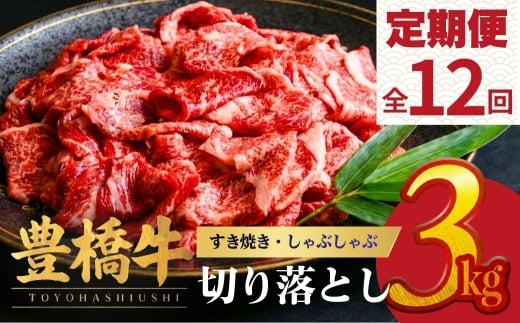 【12回定期便】豊橋牛 切り落とし 3kg | 牛肉 肉  国産牛 肉 焼肉 すき焼き 定期便 しゃぶしゃぶ すきやき お楽しみ 人気 冷凍  豊橋市  