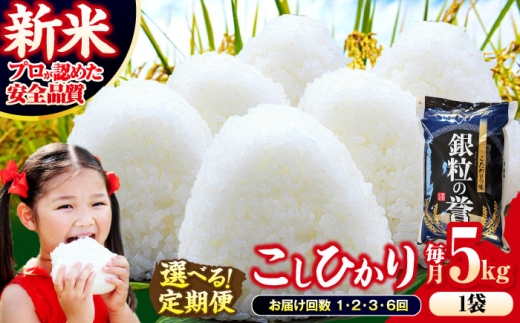 【全3回定期便】 【令和7年産米】 米 こしひかり 5kg 白米 お米 ご飯 コシヒカリ 三次市/アグリ君田 [APDC004]