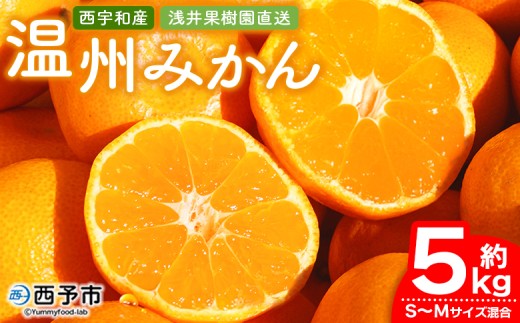 先行予約 ＜浅井果樹園 温州みかん 約5kg（南柑20号）＞ 果物 柑橘 フルーツ ミカン 蜜柑 オレンジ うんしゅうみかん ウンシュウミカン 食べて応援 特産品 西宇和 愛媛県 西予市 【常温】『2025年12月中旬～12月下旬迄に順次出荷予定』 347018 - 愛媛県西予市