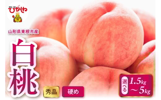 ≪選べる内容量≫2026年産 白桃（硬め） 1.5kg～5kg 秀品 山形県 東根市 hi082-052-o