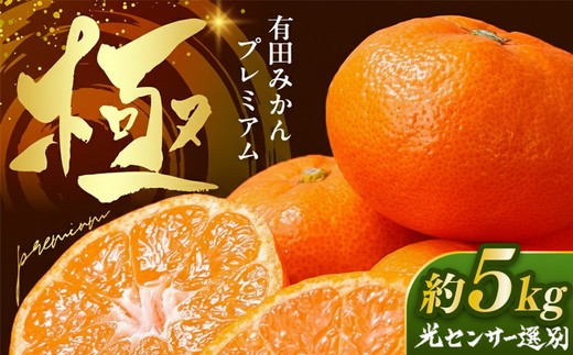 ＼光センサー選別／極 有田みかんプレミアム 約5kg【光センサー 高糖度選別品】2S～Mの小玉サイズ 有機質肥料100% | 光センサー選別 温州みかん みかん 高糖度 柑橘 果物 フルーツ 甘い◇※2025年11月下旬～2026年1月上旬頃に順次発送予定  ※北海道・沖縄・離島への配送不可