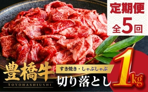 【5回定期便】豊橋牛 切り落とし 1kg | 牛肉 肉  国産牛 肉 焼肉 すき焼き 定期便 しゃぶしゃぶ すきやき お楽しみ 人気 冷凍  豊橋市  