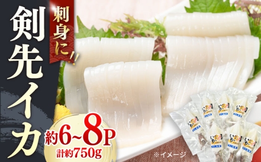 剣先イカ 750g(約6～8本) セット【丸徳水産】《対馬市》鮮度抜群 新鮮 ケンサキイカ シロイカ 下処理済 刺身 BBQ 惣菜 天ぷら フライ 海鮮 [WAE012]