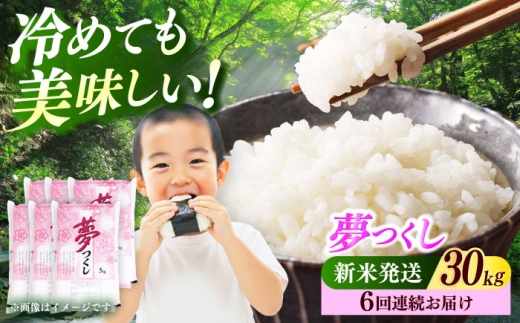 【全6回定期便】【令和7年度産 新米！】 福岡県産米 夢つくし 30kg(5kgx6袋) 精米《築上町》【有限会社ファインリョーコク】 [ABCO032]