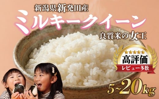 【年内配送】令和7年産 ミルキークイーン 選べる 5kg 10kg 20kg ご飯 備蓄 コメ お米 米 こめ しんまい 新潟産 新潟米 新潟県 新潟 新発田 新発田市 国産 新発田市産 斗伸 toushin015_02 toushin016_02 toushin017_02