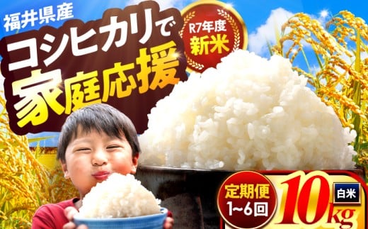 【4か月連続発送】小浜市産コシヒカリ 精米 10kg 若狭の自然が育てたごはん 国産米 福井県 / 白米 新米 地域密着 米問屋 小浜市 / 梅田東米穀店 [BFEK016]