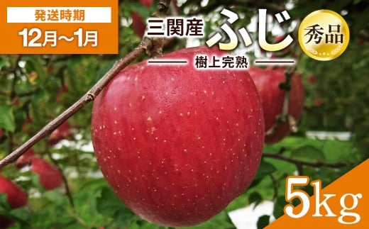 ＼樹上完熟で甘みが強い！／ 三関 りんご ふじ 5kg 秀品 ふるさと納税 りんご 旬 ふじりんご 樹上 完熟 果物 フルーツ 秋田県 三関産【三関果樹勉強会】[B3210]