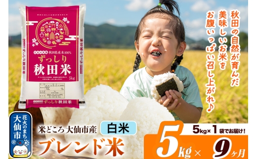 新米 米 令和7年産《定期便9ヶ月》米どころ 秋田県大仙市産 ブレンド米【白米】5kg（5kg×1袋）