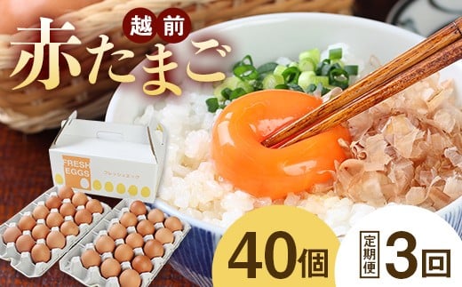 【定期便3回】ミネラルを豊富に含んだ越前赤玉子40個（36個＋卵割れ補償4個）2023年2月28日テレビ朝日　羽鳥慎一【モーニングショー】　＜知っておきたいＮＥＷＳ検定＞ 「ふるさと納税で異変・高騰の卵人気」コーナーにて　本返礼品が取り上げられました！