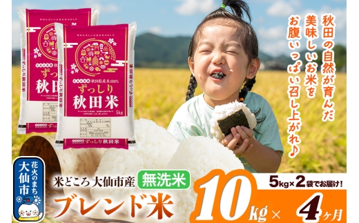 新米 米 令和7年産《定期便4ヶ月》米どころ 秋田県大仙市産 ブレンド米【無洗米】10kg（5kg×2袋）