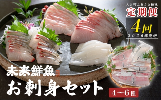【定期便4回】旬のお刺身用柵セット 4～6種 刺身 高知県産｜盛り合わせ 食べ比べ 鮮度抜群 産地直送 海の幸 海鮮 魚介 新鮮 おつまみ 酒 海鮮丼 寿司 厳選 ギフト おすすめ 人気 お盆 お中元 お歳暮 カルパッチョ お取り寄せ グルメ 2408691 - 高知県大月町