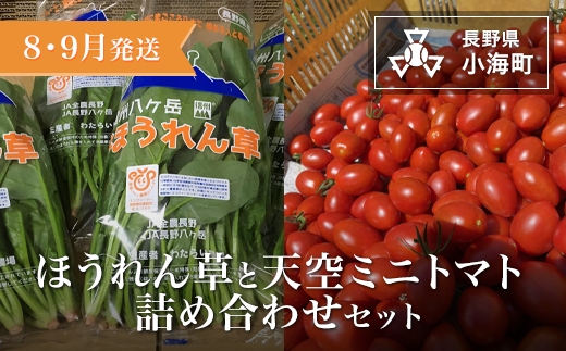 わたらい農場 ほうれん草・天空ミニトマト詰め合わせセット| 野菜 新鮮 旬 新鮮 高原野菜 根菜 [ 2026年発送 先行予約 ]