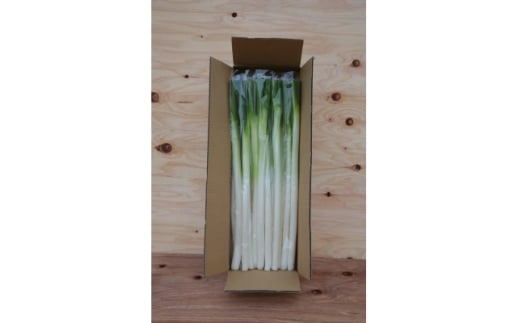 長ネギ 3kg入り＜ストロベリーみなみ＞【1691184】