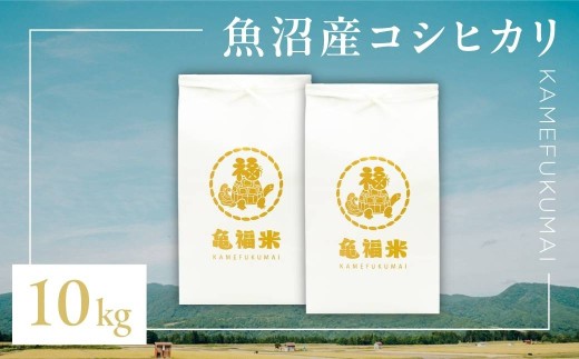 令和7年産 極上 魚沼産コシヒカリ「亀福米」10kg (5kg×2袋) (特別栽培米) | お米 おこめ 白米 精米 おすすめ 人気 新潟県 津南町 株式会社亀福 2410094 - 新潟県津南町