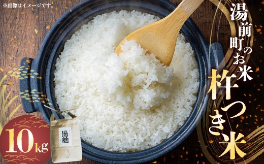 令和7年産 湯前町のお米「杵つき米」10kg お米 精米 白米 湯前町 【2025年11月下旬～2026年1月下旬迄発送】