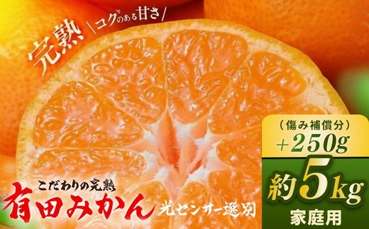 ＼光センサー選別／こだわりの完熟有田みかん 5kg＋250g(傷み補償分) 【ご家庭用】サイズ混合 有機質肥料100%〇 ｜ みかん 有田みかん 温州みかん ミカン 温州ミカン 柑橘みかん 甘いみかん みかんコク  完熟有田みかん 完熟温州みかん 完熟有田ミカン 柑橘類みかん 有機肥料みかん 産地直送 ※2025年11月中旬～2026年1月上旬頃に順次発送予定 ※北海道・沖縄・離島への配送不可
