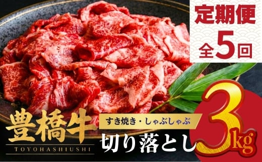 【5回定期便・隔月発送】豊橋牛 切り落とし 3kg | 牛肉 肉  国産牛 肉 焼肉 すき焼き 定期便 しゃぶしゃぶ すきやき お楽しみ 人気 冷凍  豊橋市  