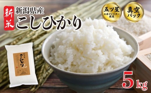 【真空パック】 こしひかり 5kg 令和7年産 選べる 配送月 新米 五つ星お米マイスター 米 真空パック 新潟県産 新発田産 コシヒカリ 備蓄 非常 防災 長期保存 アウトドア ごはん ご飯 お米 米 こめ 新潟県 新発田市 三糧 sanryo002_01P