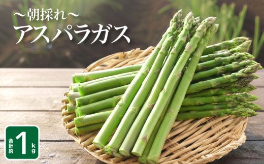 【3~4月発送】アスパラガス 1kg S~M 朝採れ 大容量 アスパラ サイズ混合 訳あり セット 野菜 新鮮 夕飯 おかず お弁当 有機肥料使用 新鮮アスパラ 選べる サイズ 下関 山口