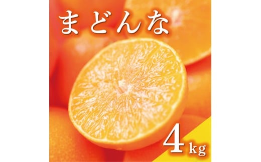 数量限定 まどんな 4kg 14000円 高級 人気 ブランド プレミアム 産地直送 農家直送 愛媛 みかん mikan 蜜柑 ミカン 国産 期間限定 特産品 フルーツ 果物 柑橘 甘い おいしい お取り寄せ ギフト プレゼント お礼 みかんの山祥 愛南町 愛媛県
