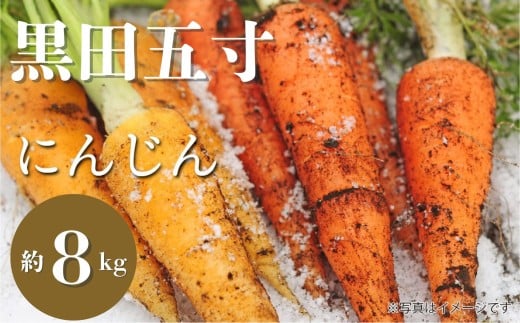 有機ニンジン 8kg 人参 にんじん 有機野菜 在来品種・黒田五寸　有機人参（洗い）8kg　ゲルソン療法にもぜひご活用下さい！