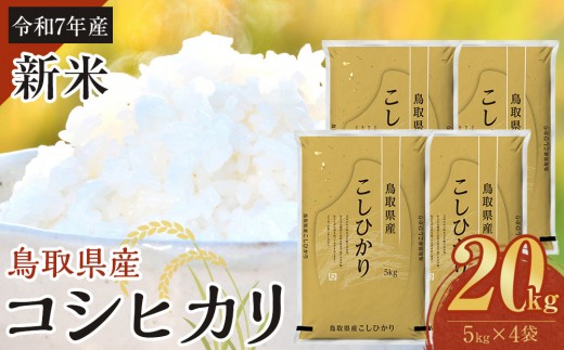 【令和7年産新米】【食味鑑定士厳選】 鳥取県産 コシヒカリ20kg (5kg×4袋)【新米 米 お米 こめ 白米 こしひかり ご飯 ごはん 白ごはん 白ご飯 鳥取県 北栄町 おすすめ 人気 2025年産 令和7年 厳選 国産 送料無料】