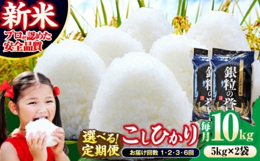 【令和7年産米】米 こしひかり 10kg 白米 お米 ご飯 コシヒカリ 三次市/アグリ君田 [APDC002]