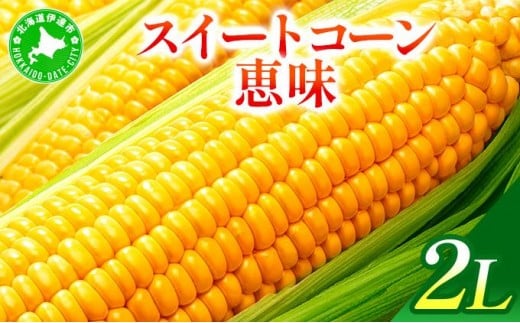 ＜2026年7月中旬〜順次お届け＞ スイートコーン・恵味（2Lサイズ）【dnk-003】とうもろこし コーン スイートコーン 野菜 伊達野菜 サラダ 北海道 伊達市