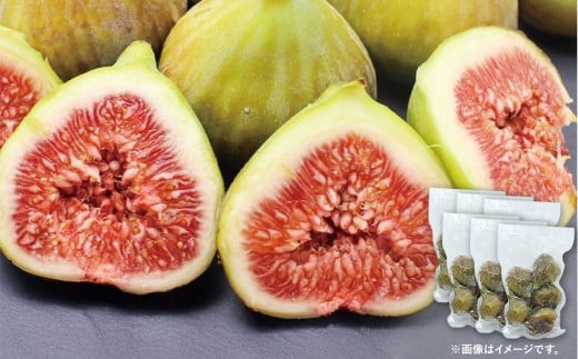 【訳あり】 冷凍いちじく 「とよみつひめ」 3kg （500g×6袋） ／ いちじく イチジク 果物 果実 フルーツ 冷凍フルーツ わけあり 訳アリ 理由あり 九州 福岡県 太宰府市 冷凍