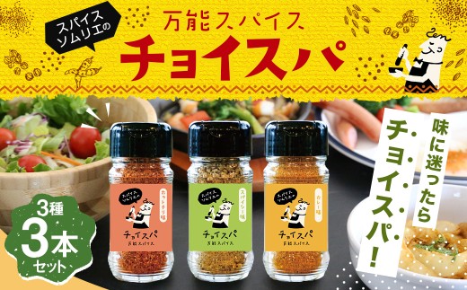 スープカレー専門店 禅 チョイスパ ３種の詰め合わせセット (スパイシー味・カレー味・ホットチリ味) 各40g×3本